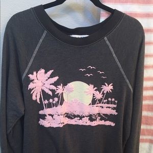 Wildfox sweatshirt
