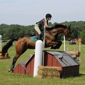 Meet your Posher, Bryn