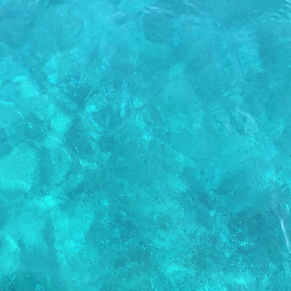 Meet your Posher, Matt