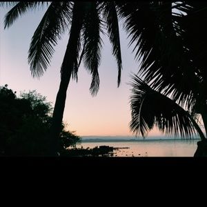 Meet your Posher, Anne