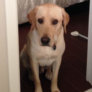 Meet your Posher, Melody