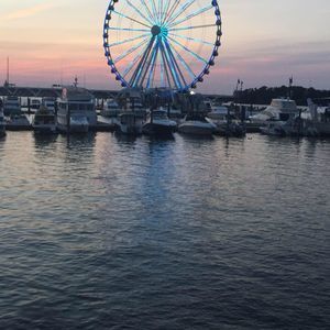 Meet your Posher, Cleo