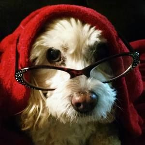 Meet your Posher, Tina