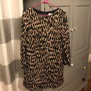 Ann Taylor Loft dress