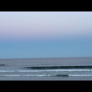 Meet your Posher, Meilin