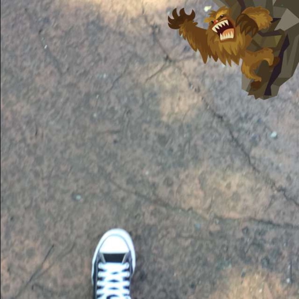 Meet your Posher, Gaby