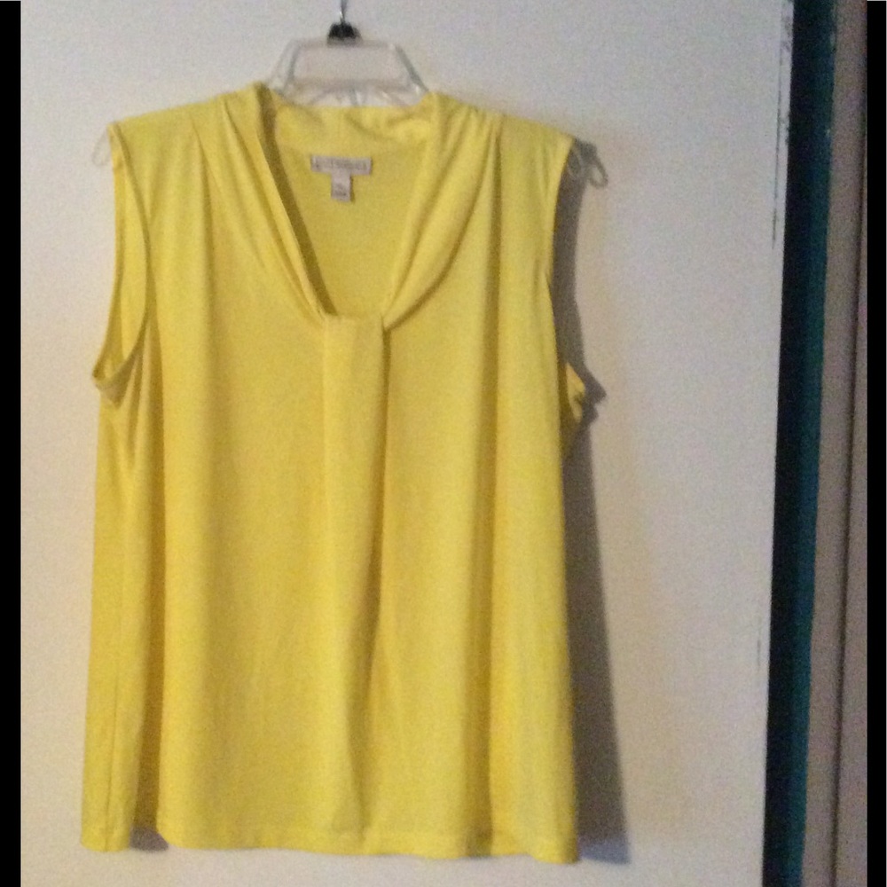 Summertime Sleeveless Top