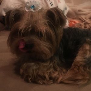 Meet your Posher, Lesley