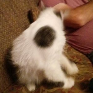 Meet your Posher, Pamela