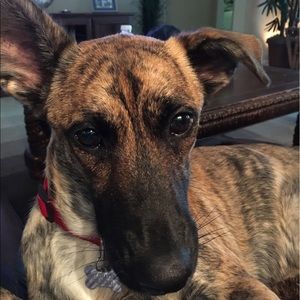 Meet your Posher, Brian