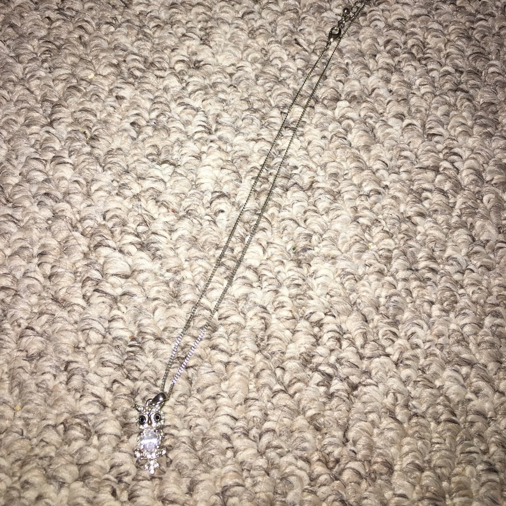 Forever 21 owl necklace.