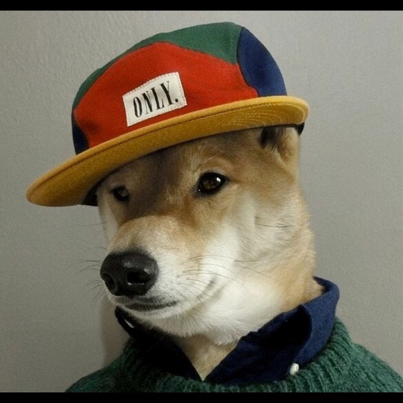 Meet your Posher, Blake - Picture 1 of 1