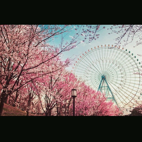 Meet your Posher, Megan - Picture 1 of 1