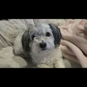 Meet your Posher, Hailey