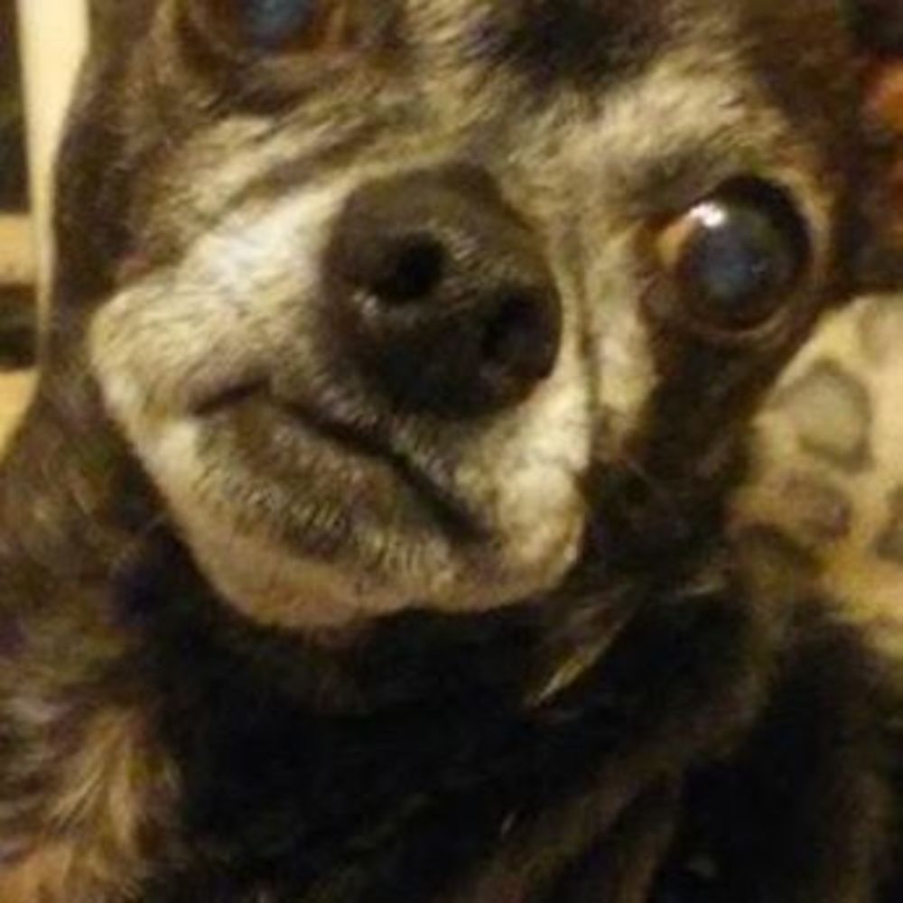 Meet your Posher, Tamara