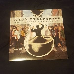 A Day To Remember What Separates Me Blue Vinyl