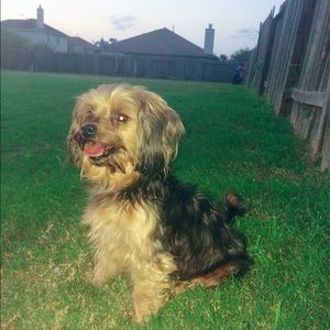 Meet your Posher, Dao