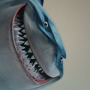 Meet your Posher, Don