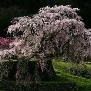 Meet your Posher, Marla