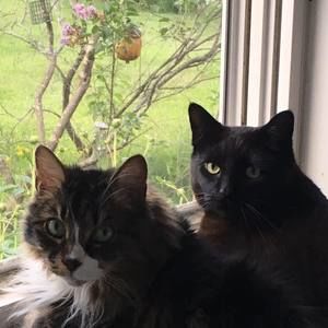 Meet your Posher, Jana