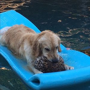 Meet your Posher, Beverly