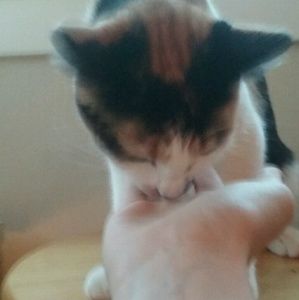 Meet your Posher, Caitlin