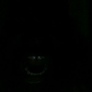 Meet your Posher, Tony