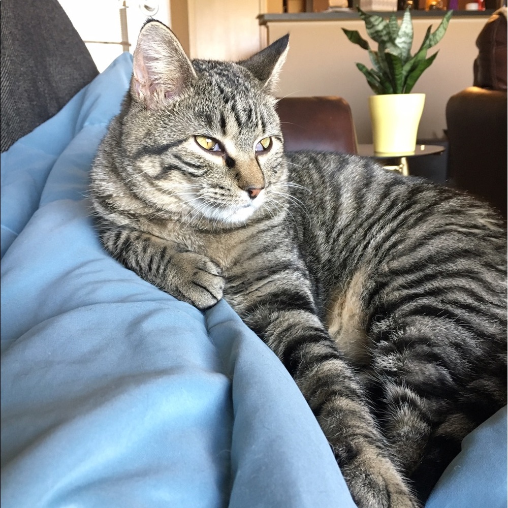 Meet your Posher, Kendra