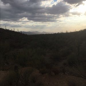 Meet your Posher, Colt