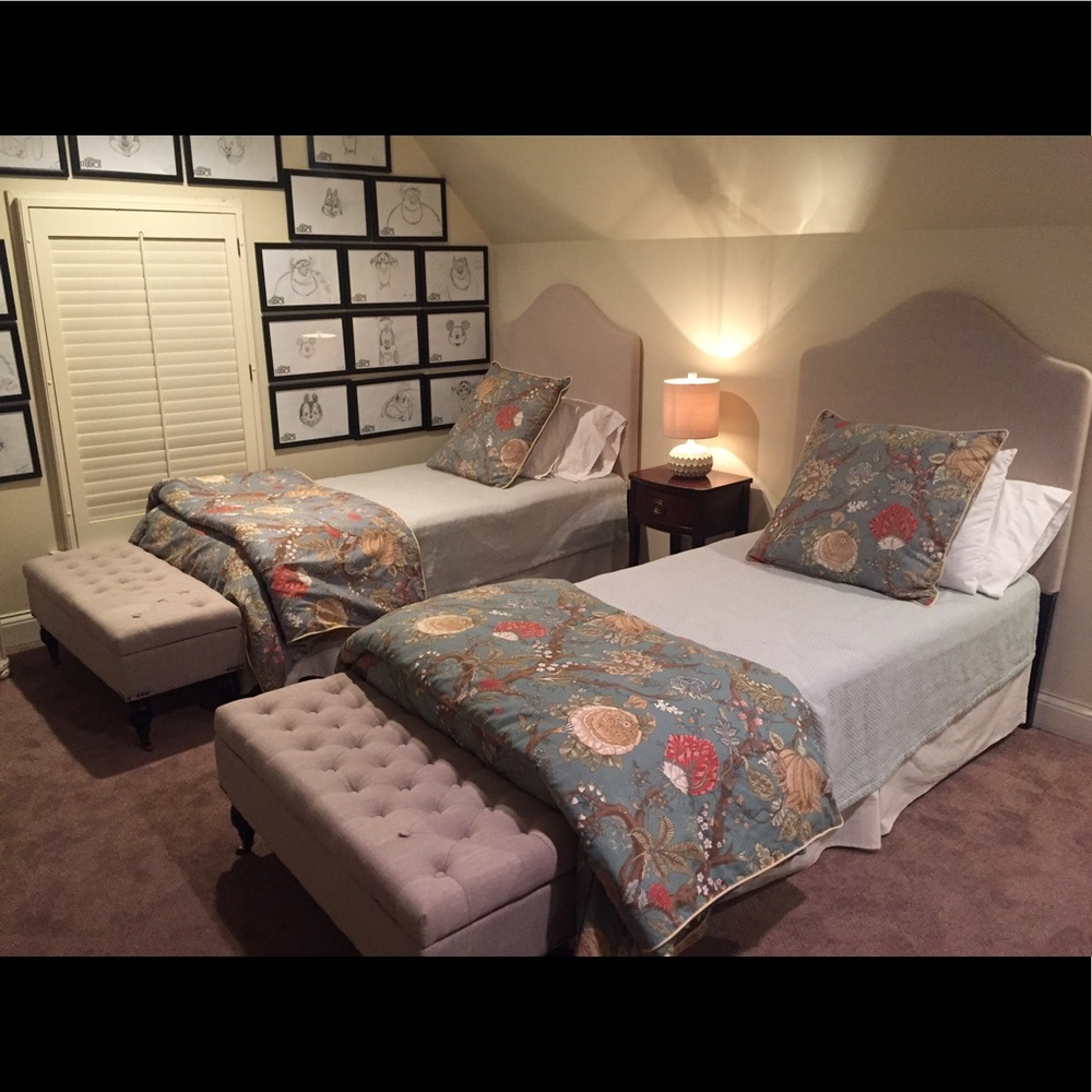 Pottery Barn Twin Duvet Wells Palampore Euro Shams