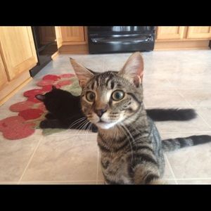 Meet your Posher, Rebecca