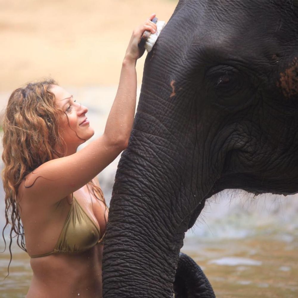 Meet your Posher, Jell