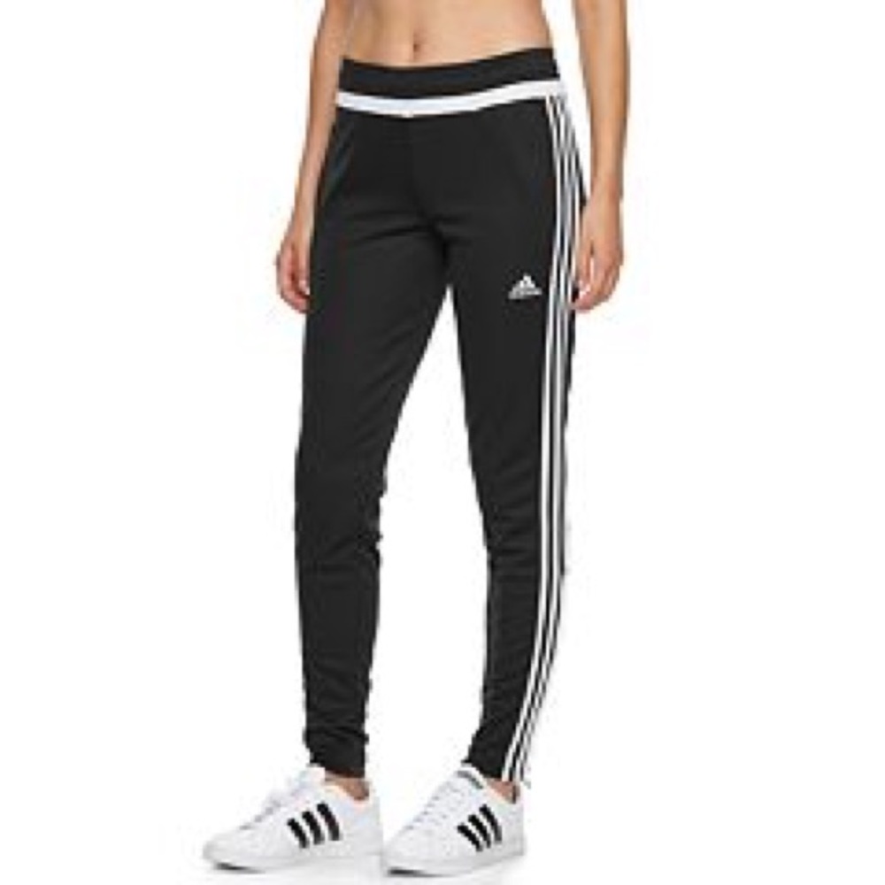Women's Adidas trio 15 training sweatpants