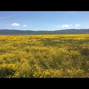 Meet your Posher, Junko