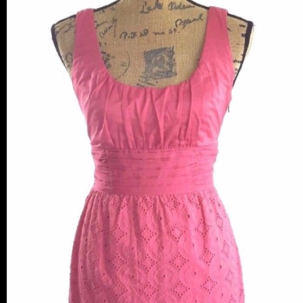 Ann Taylor Pink FLIRTY Rose Eyelet Dress 0