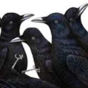 Meet your Posher, Deena