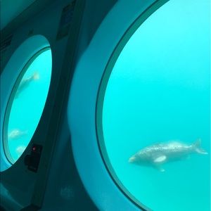 Meet your Posher, Ben