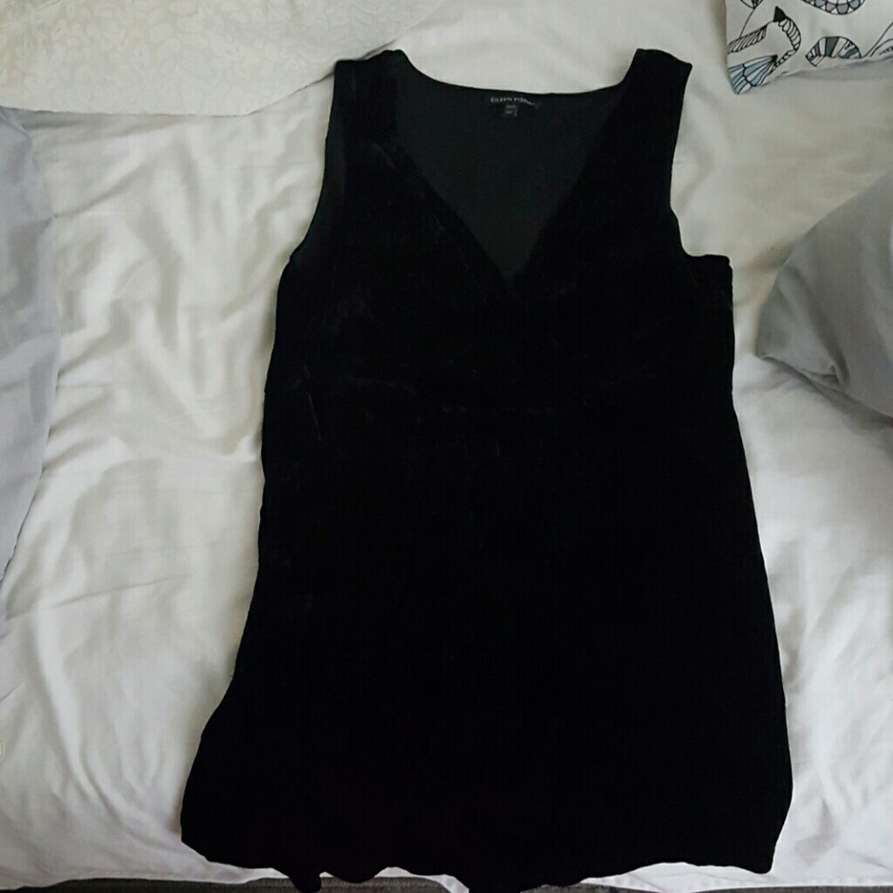 Velvet eileen fisher top