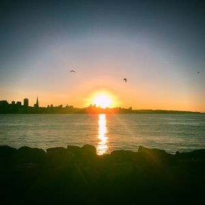 Meet your Posher, Sean