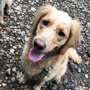 Meet your Posher, Kelsey