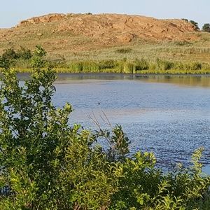 Meet your Posher, Cherie