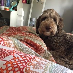 Meet your Posher, Ruby