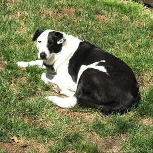 Meet your Posher, Wade