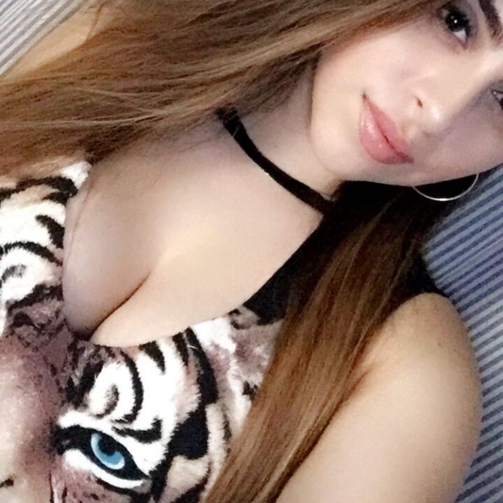 Tiger tank