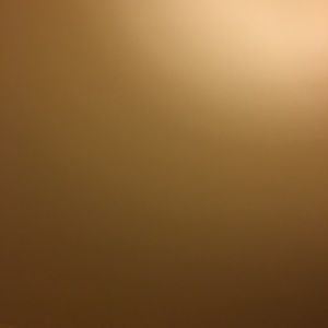 Meet your Posher, Connor