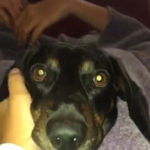 Meet your Posher, Gianna