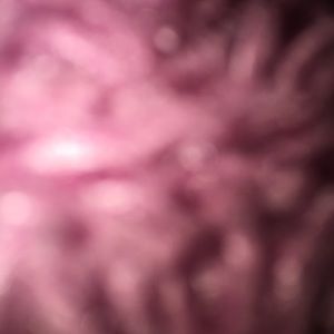 Meet your Posher, Joanna