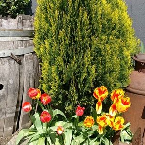 Meet your Posher, Keith