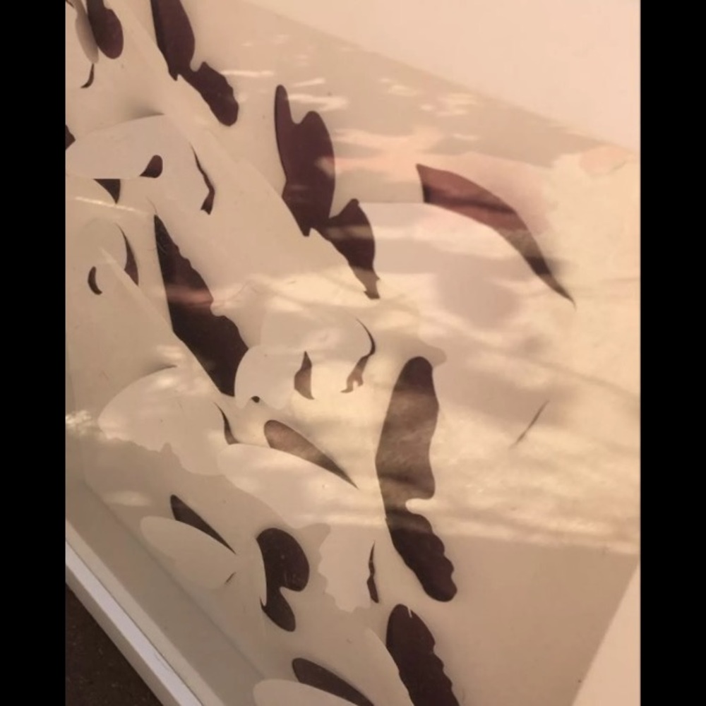 3D butterfly wall art