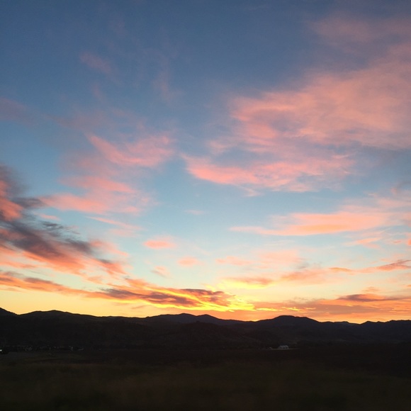 Meet your Posher, Quinn - Picture 1 of 1